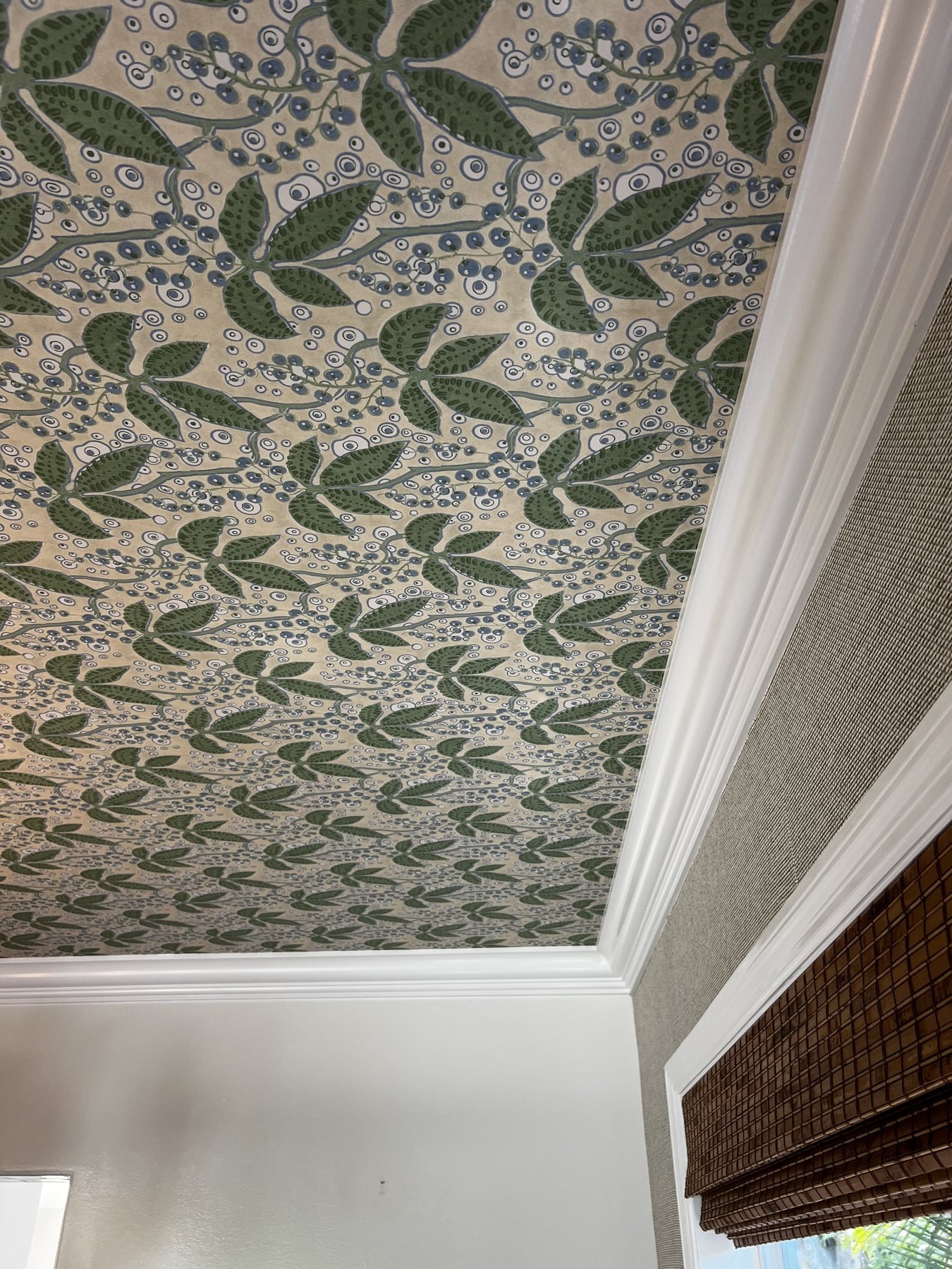 Botanical dining-room ceiling — image 3