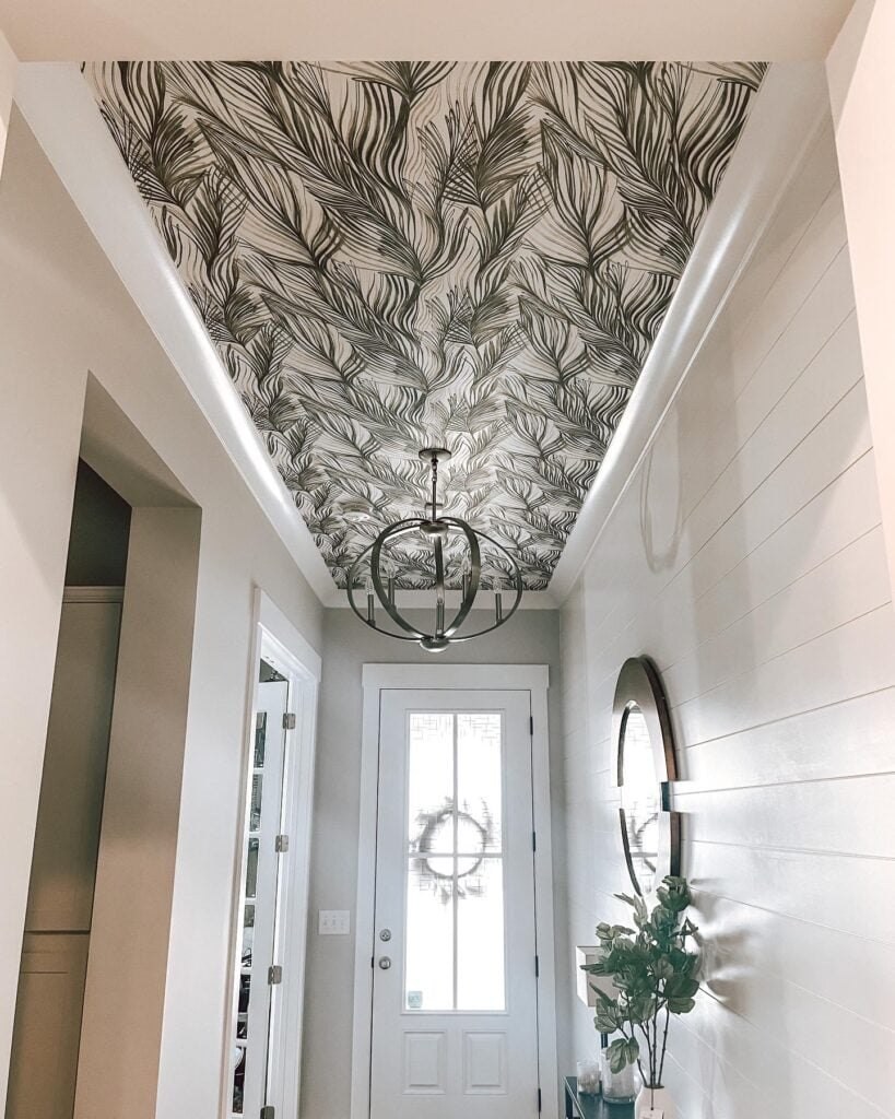 Entryway ceiling — image 1