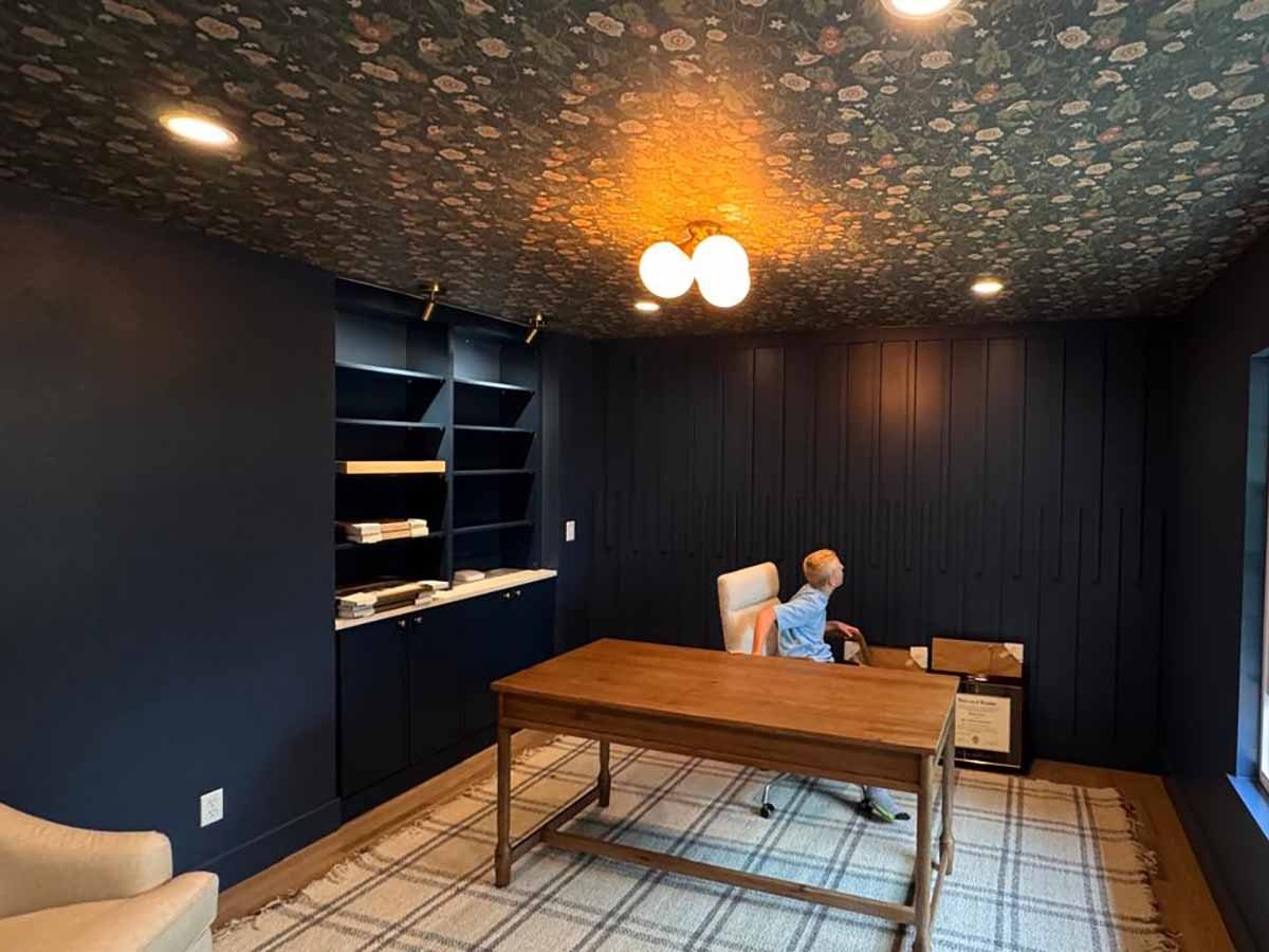Home-office ceiling — image 1